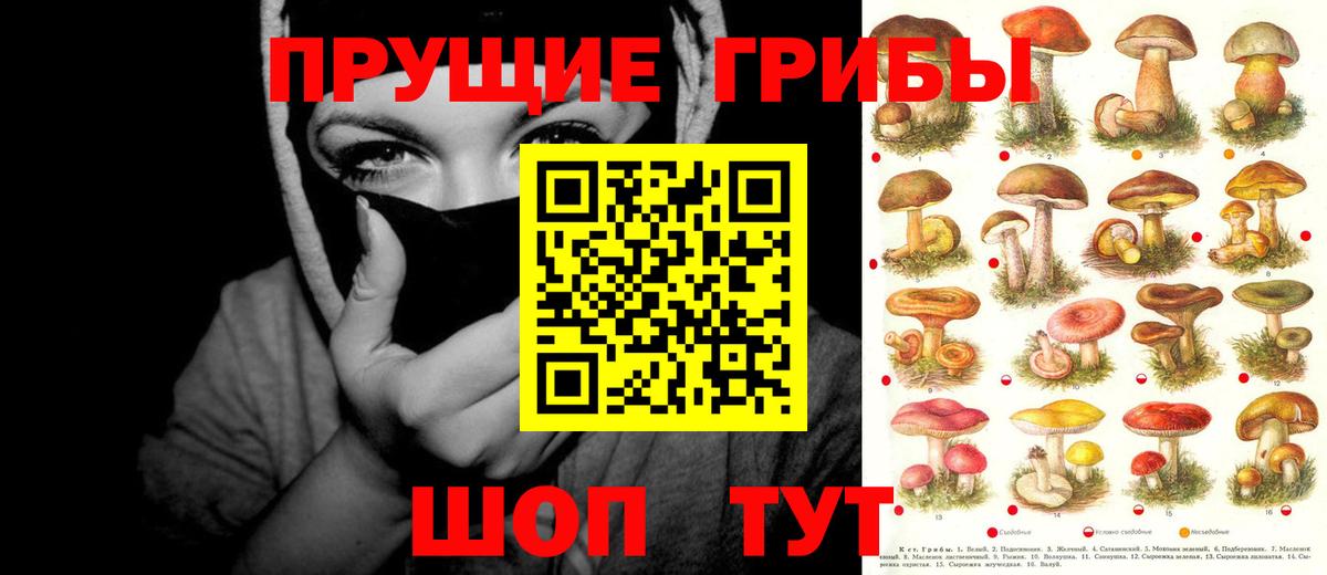 Баксан  Галлюциногенные грибы ЛСД  где купить   Вход с VPN 